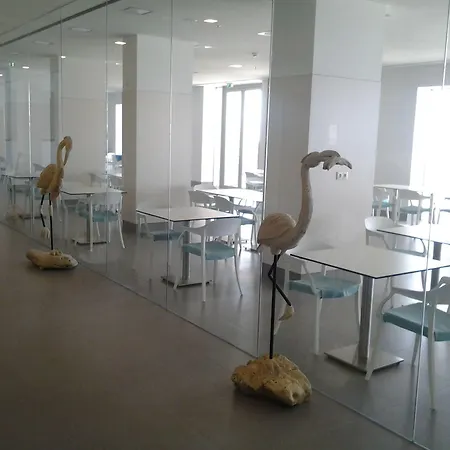 阿尔布费拉因娜酒店 3* 阿尔布费拉